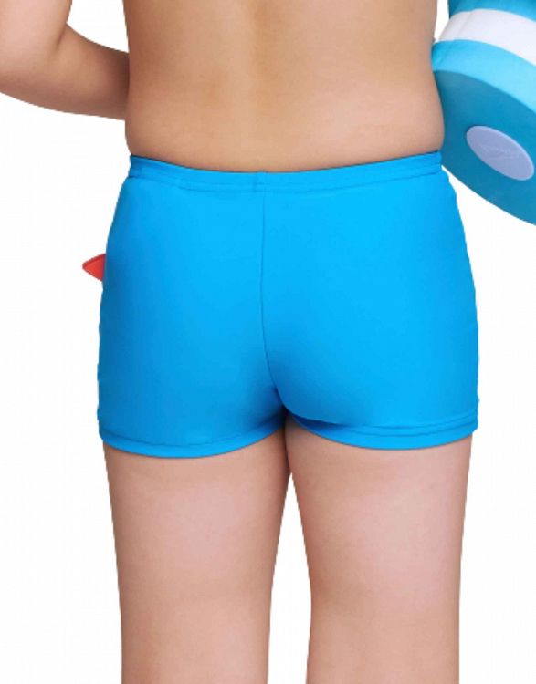 Speedo Applique Aquashort