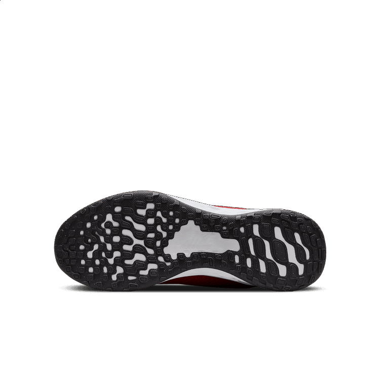 NIKE REVOLUTION 6 NEXT NATURE GS