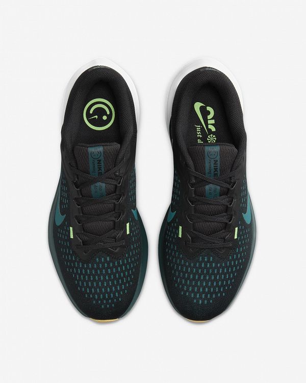 Nike Winflo 10