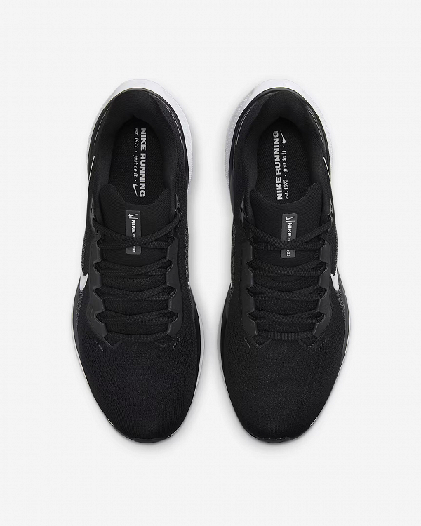 AIR ZOOM PEGASUS 41