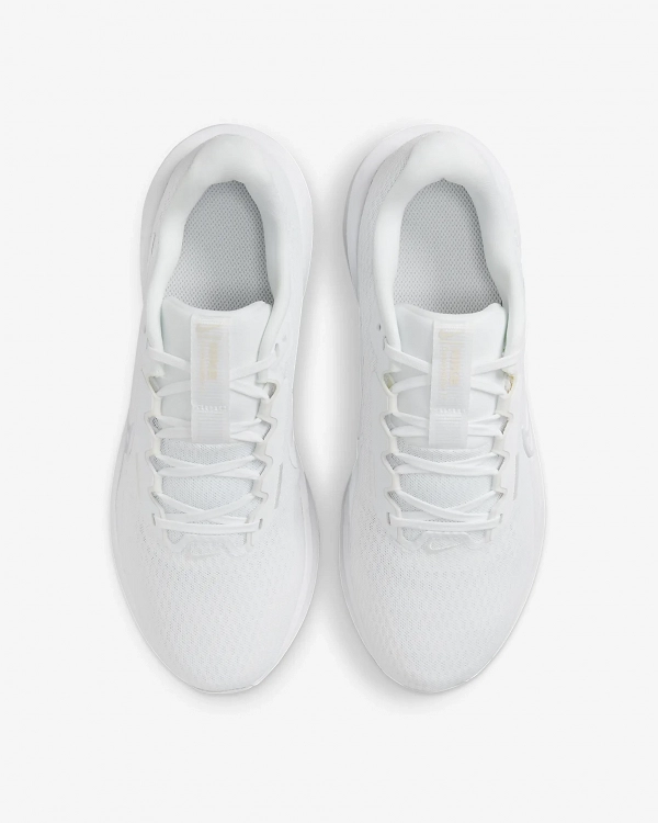 Nike Downshifter 13
