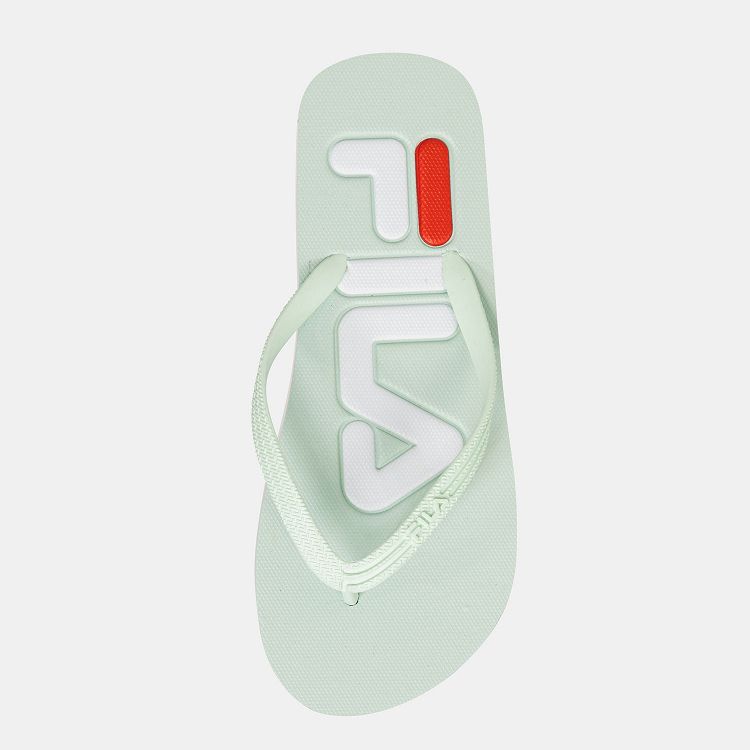 Troy Slipper