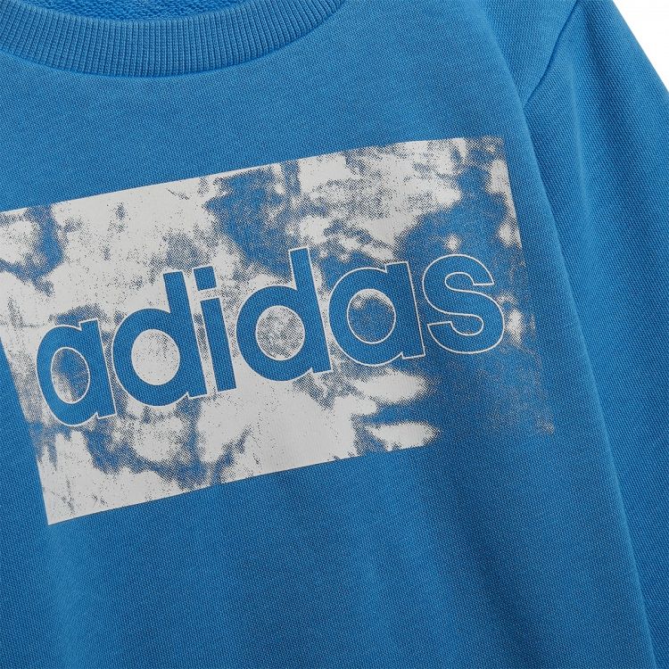 adidas Essentials Sweatshirt and Pants