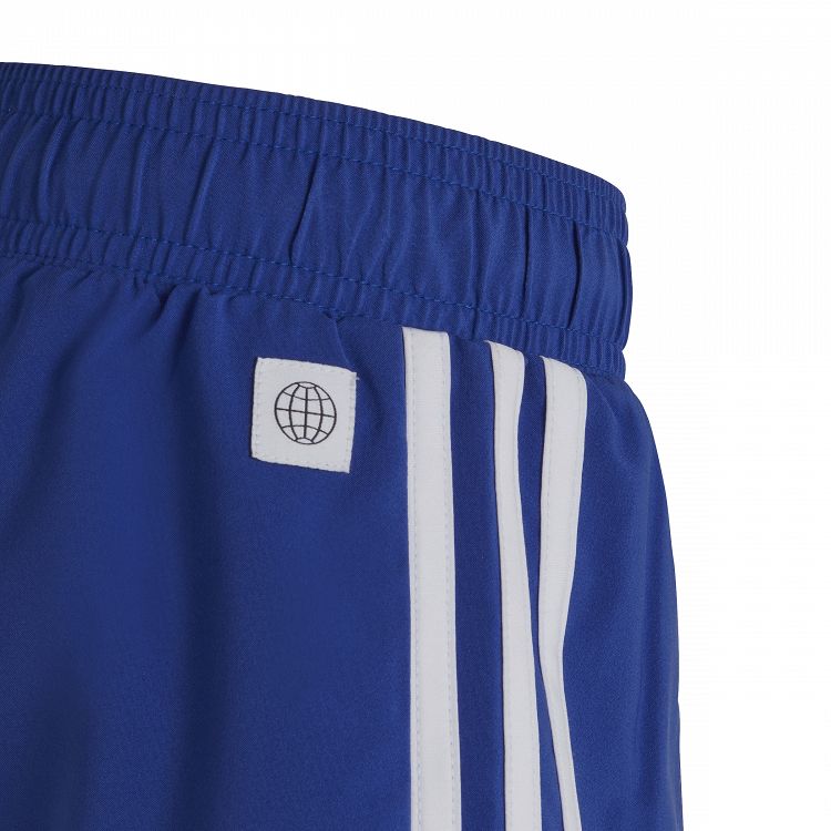 Finding Nemo Swim Shorts
