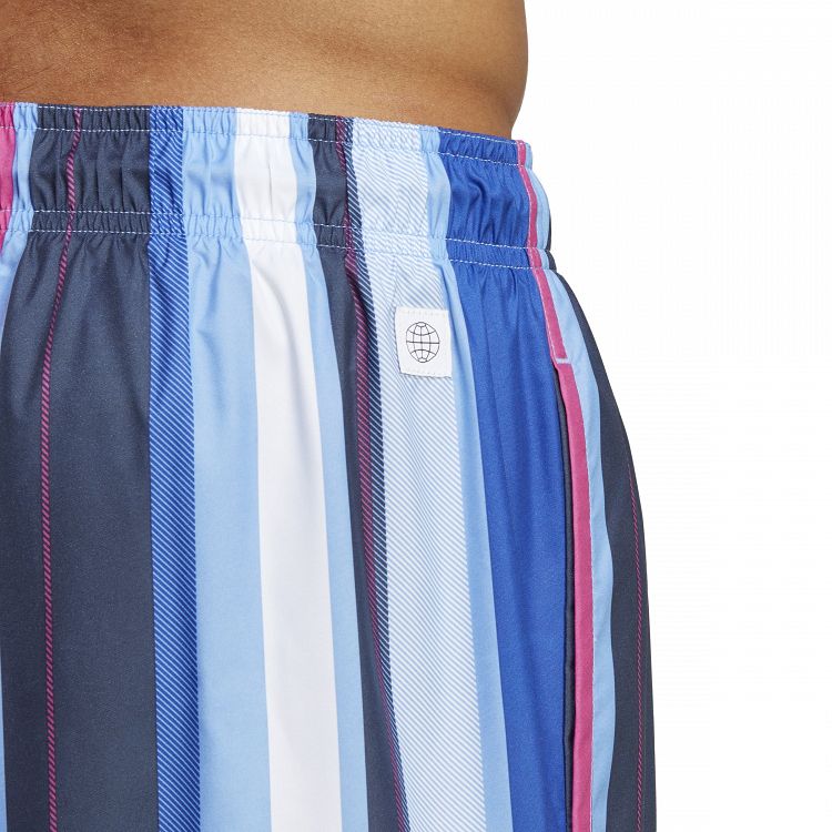 Striped Swim Shorts