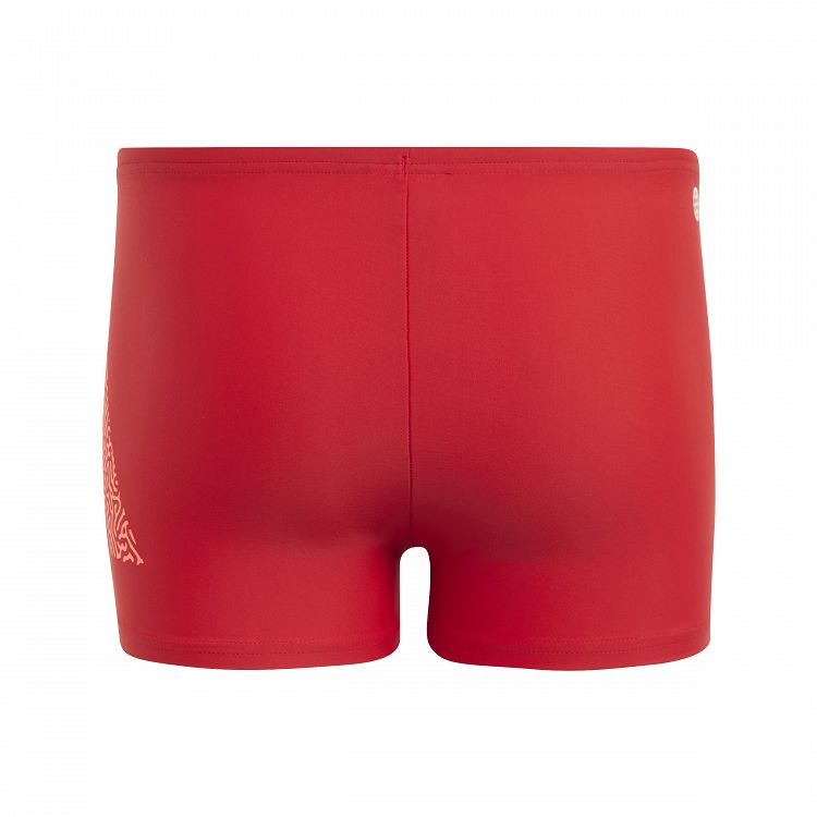 3 Bar Logo Swim Boxers