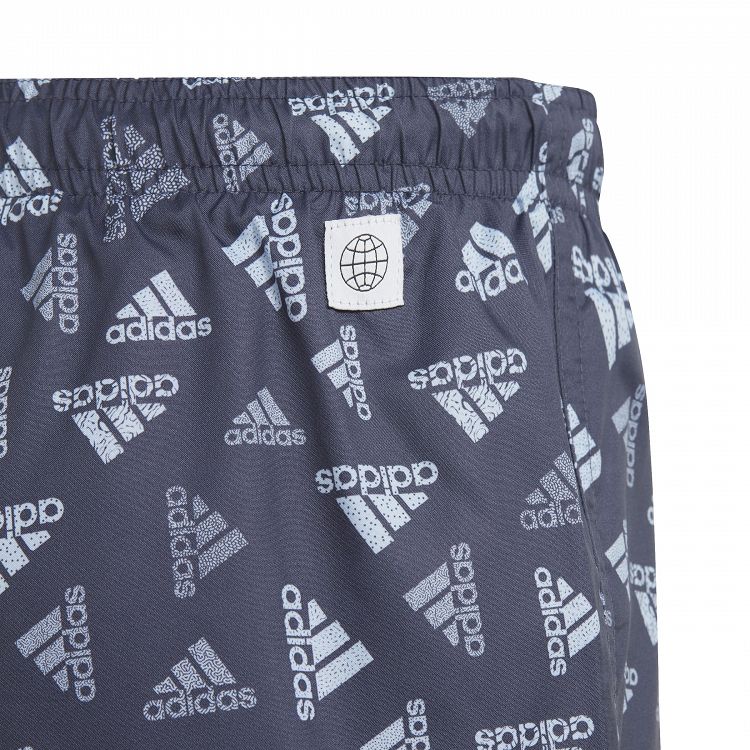Logo Print CLX Swim Shorts
