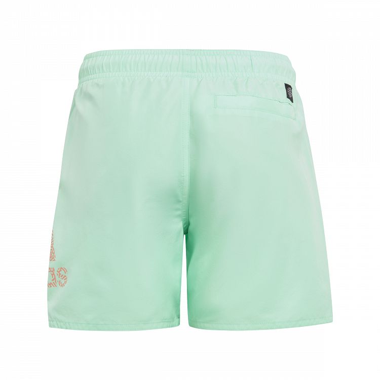 Logo CLX Swim Shorts