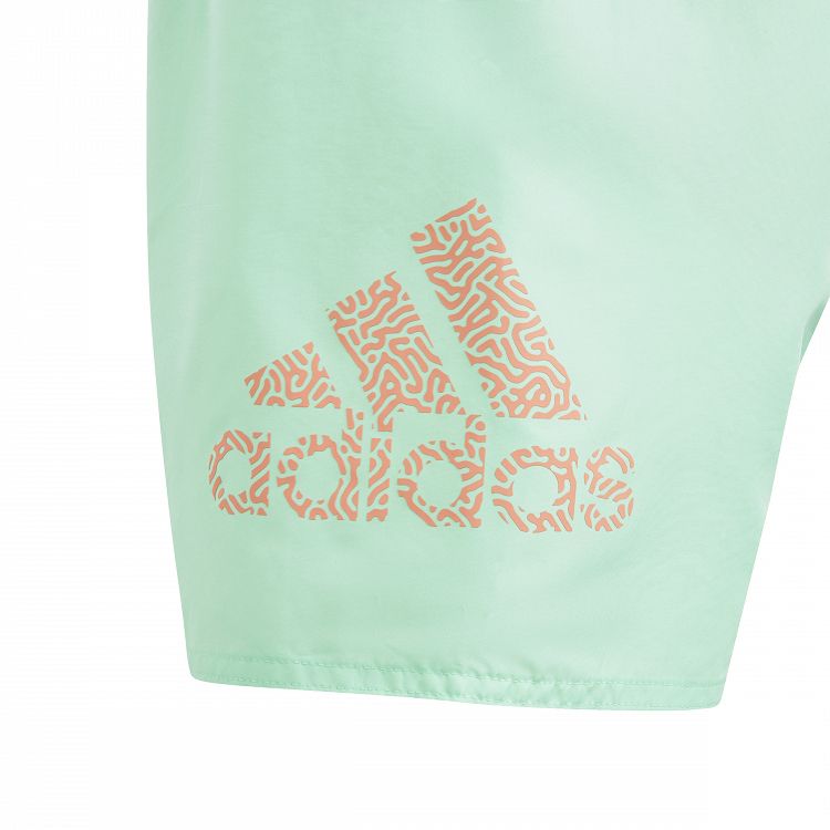 Logo CLX Swim Shorts