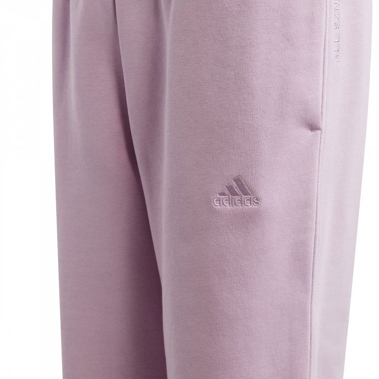 J ALL SZN PANT