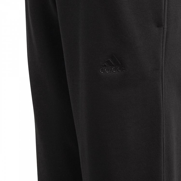 J ALL SZN PANT