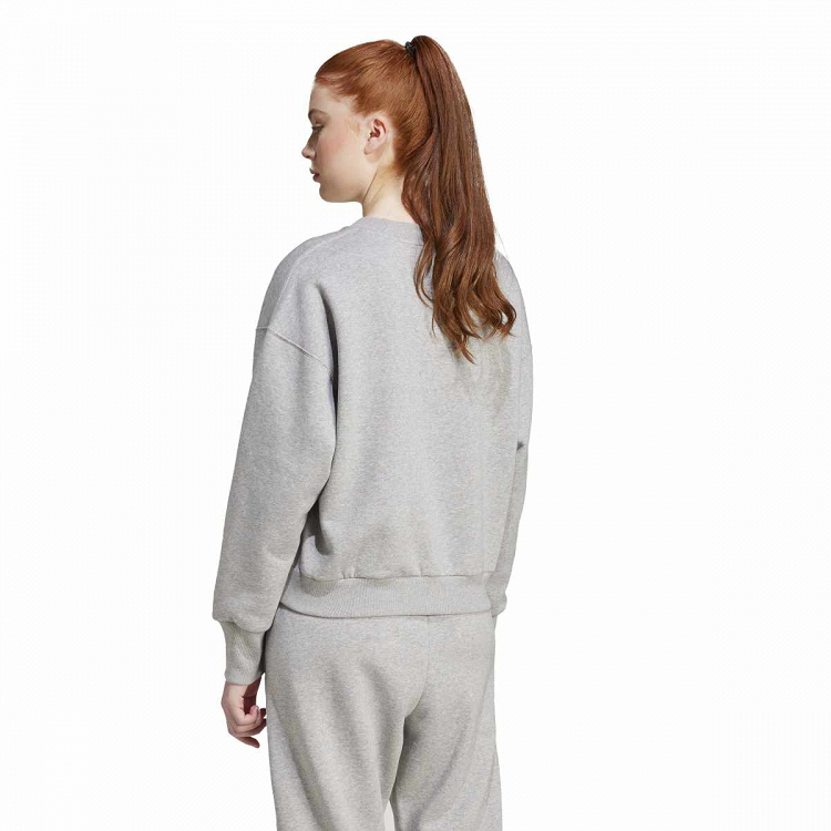ALL SZN FLEECE LOOSE SWEATSHIRT