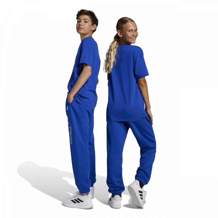 J ALL SZN GFX PANT