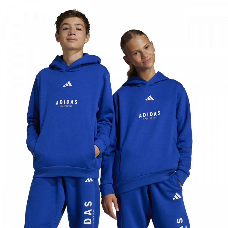 J ALL SZN GFX HOODIE