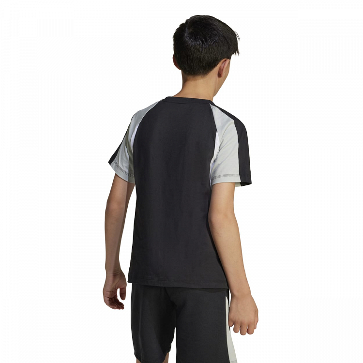 SEASONAL ESSENTIALS COLORBLOCK T-SHIRT