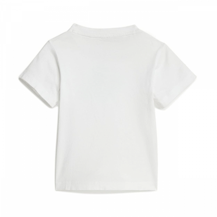 ESSENTIALS T-SHIRT SET
