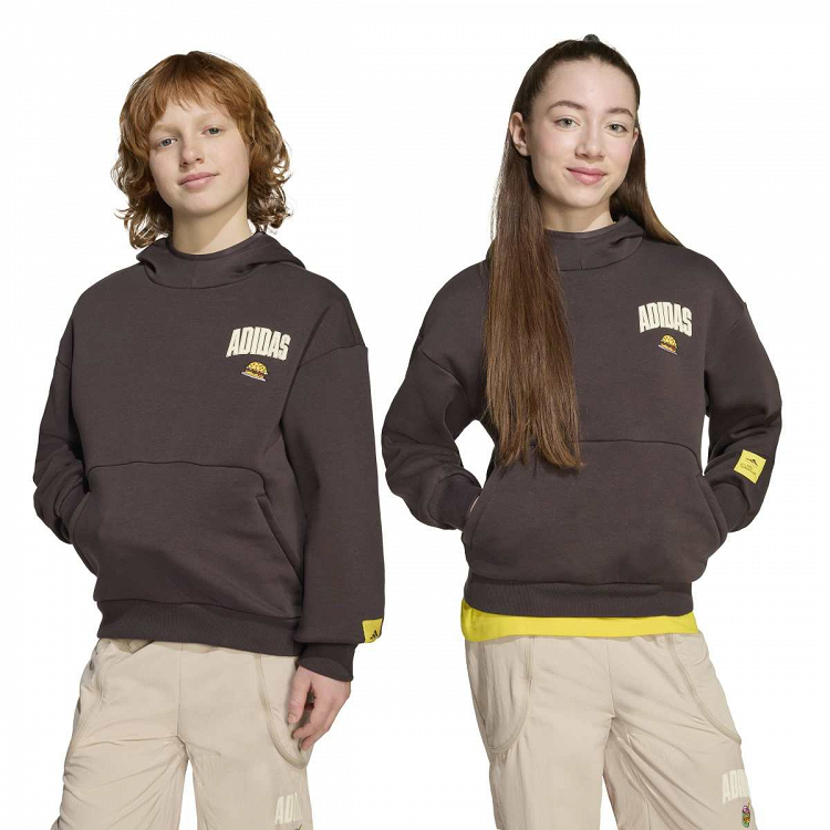 ADIDAS THE SIMPSONS HOODED SWEAT