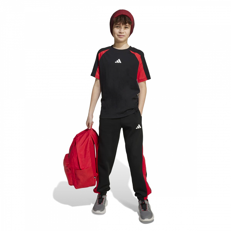 SEASONAL ESSENTIALS COLORBLOCK PANTS