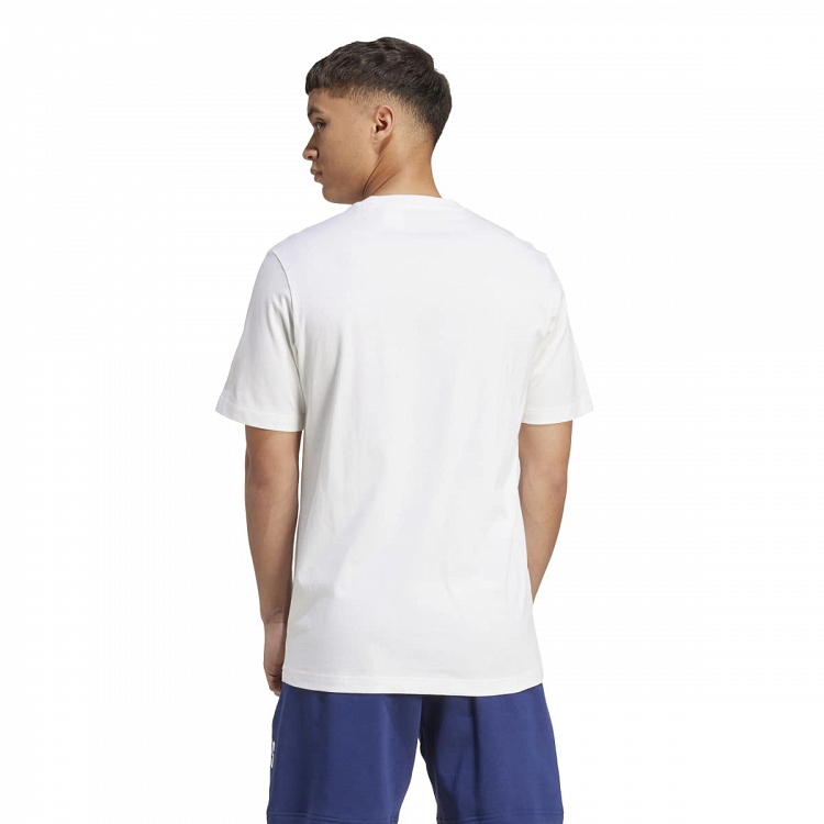 COLLEGIATE LINEAGE GRAPHIC T-SHIRT
