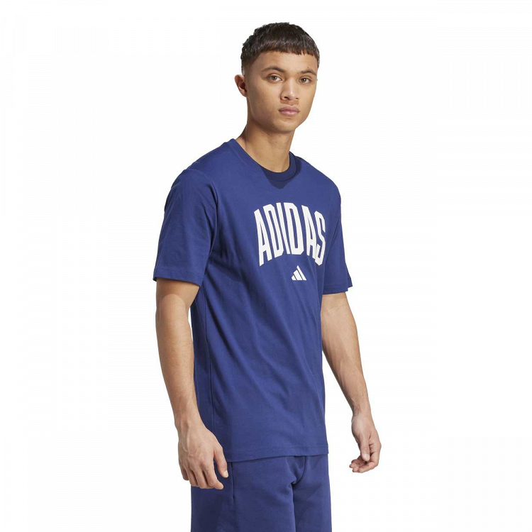 COLLEGIATE LINEAGE GRAPHIC T-SHIRT