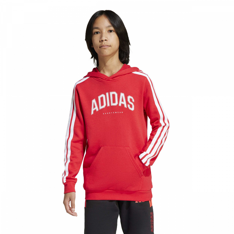 CODES COLLEGIATE GRAPHIC HOODIE