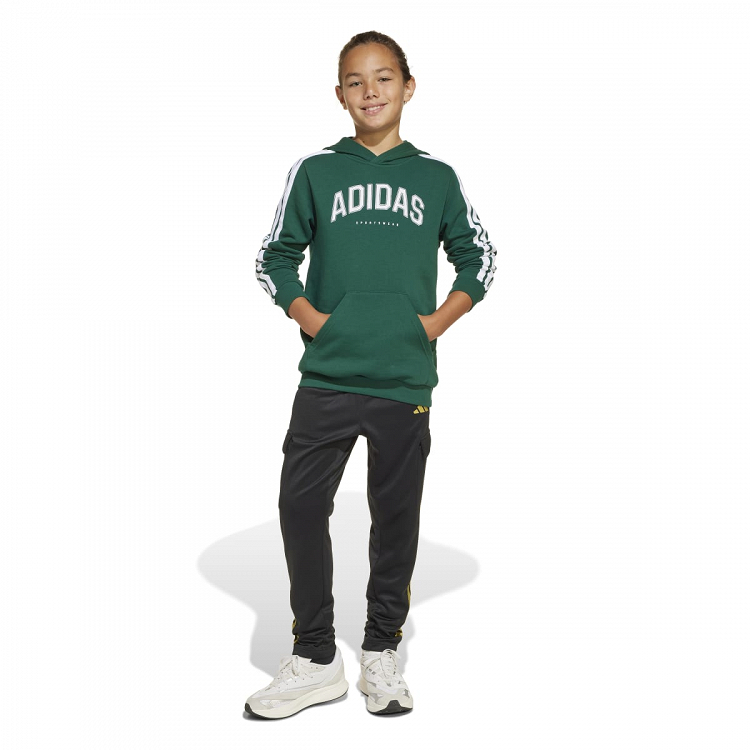 CODES COLLEGIATE GRAPHIC HOODIE