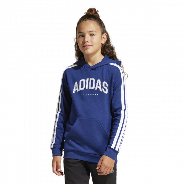 CODES COLLEGIATE GRAPHIC HOODIE