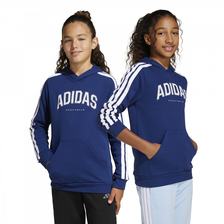 CODES COLLEGIATE GRAPHIC HOODIE