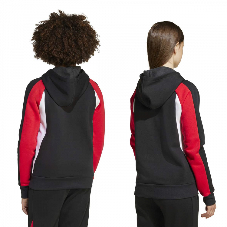 SEASONAL ESSENTIALS COLORBLOCK FLEECE HOODIE
