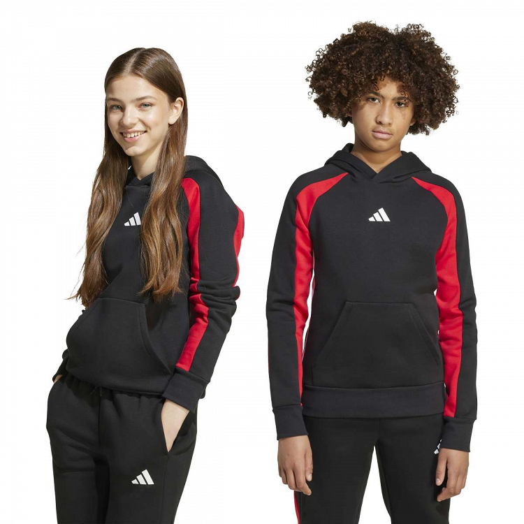 SEASONAL ESSENTIALS COLORBLOCK FLEECE HOODIE