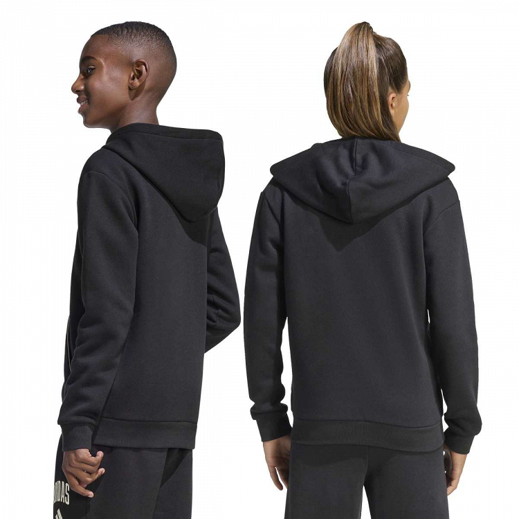 SEASONALS COLLEGIATE TYPOGRAPHY HOODY