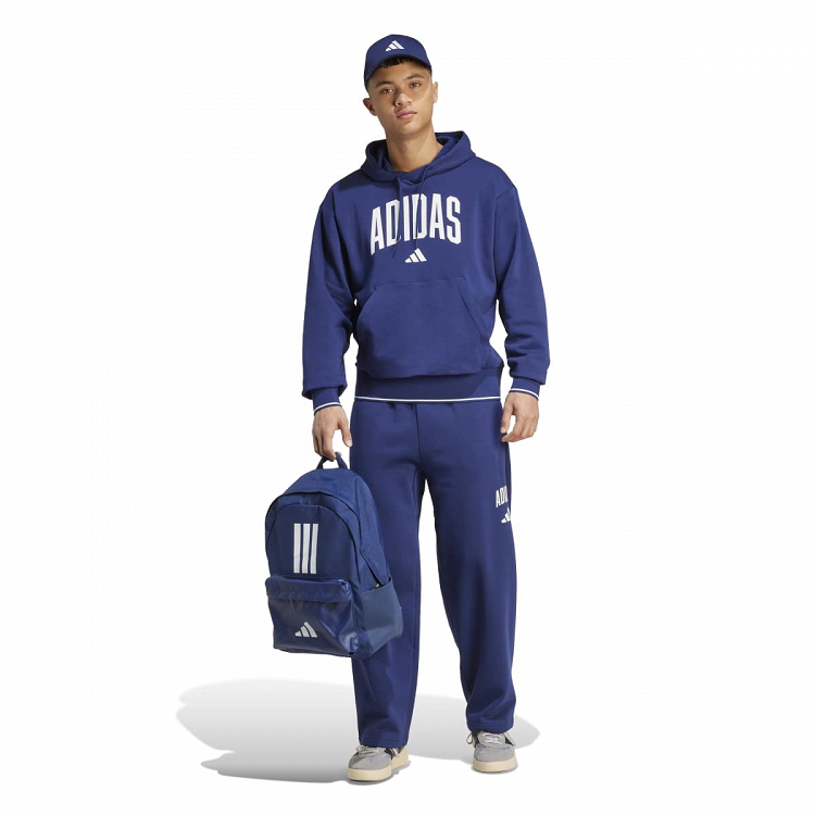 COLLEGIATE HOODIE