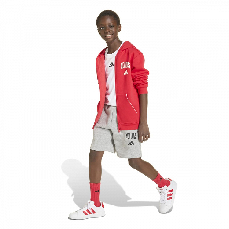 SEASONALS COLLEGIATE TYPOGRAPHY HOODY