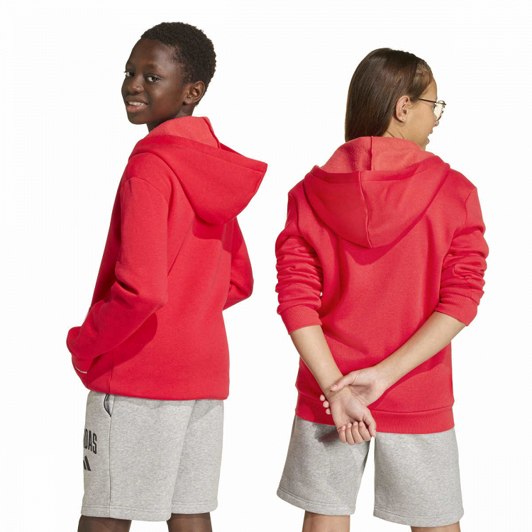SEASONALS COLLEGIATE TYPOGRAPHY HOODY