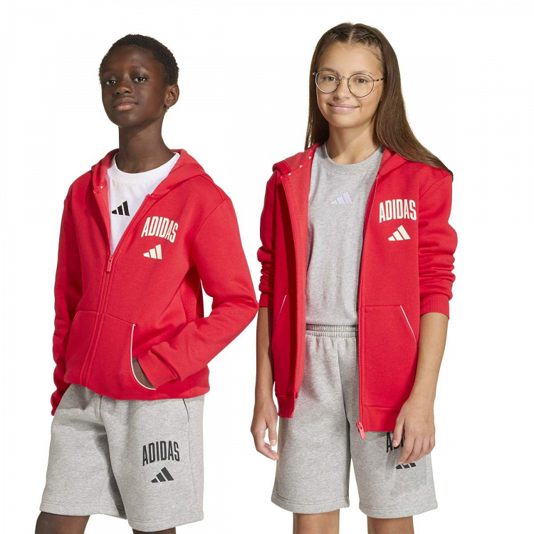 SEASONALS COLLEGIATE TYPOGRAPHY HOODY