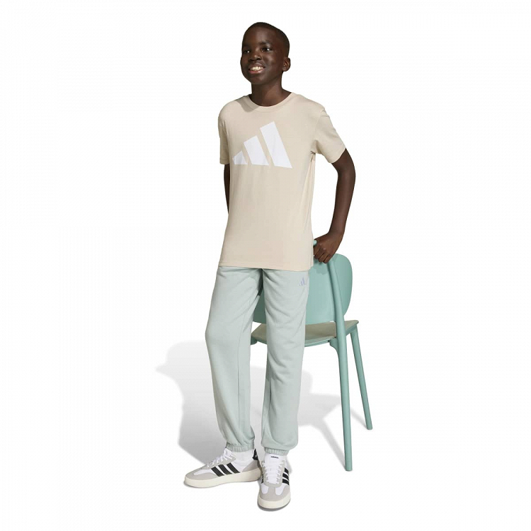 ESSENTIALS PANTS