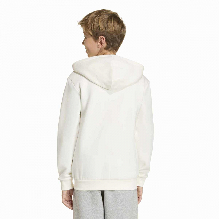 SEASONALS COLLEGIATE TYPOGRAPHY HOODY