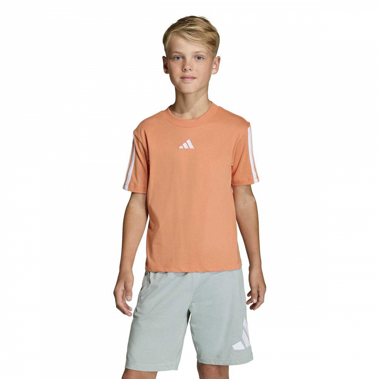 ESSENTIALS T-SHIRT
