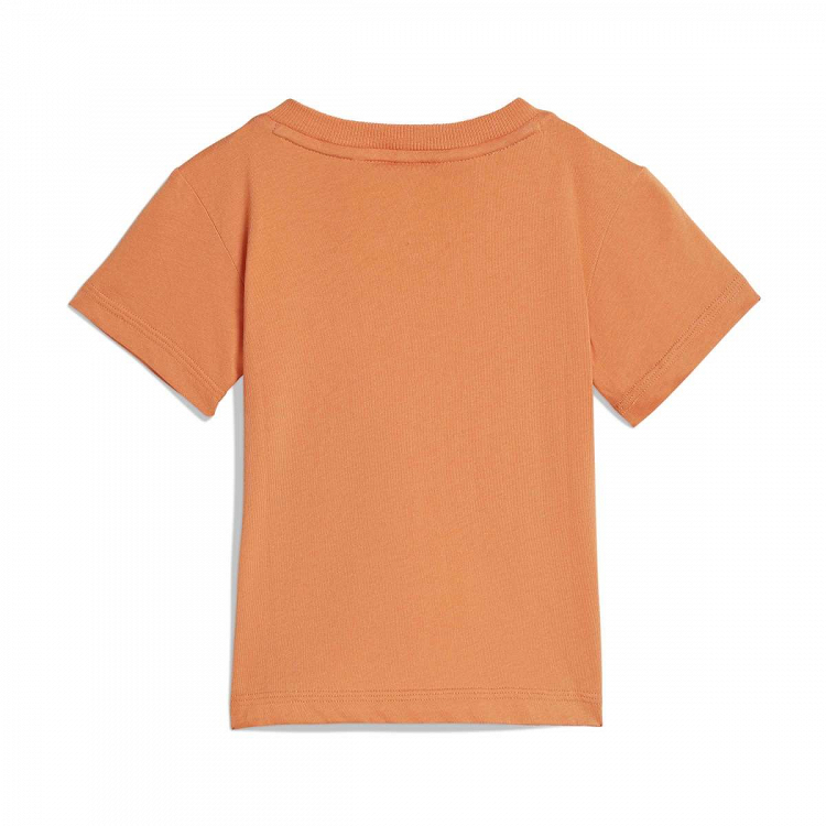 ESSENTIALS T-SHIRT SET