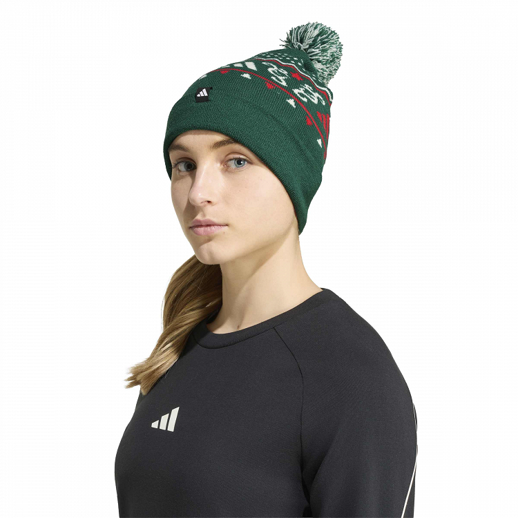 Christmas Graphic Beanie