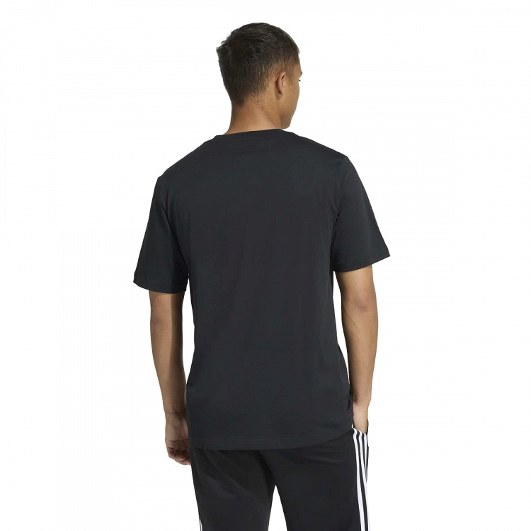 COLLEGIATE LINEAGE GRAPHIC T-SHIRT