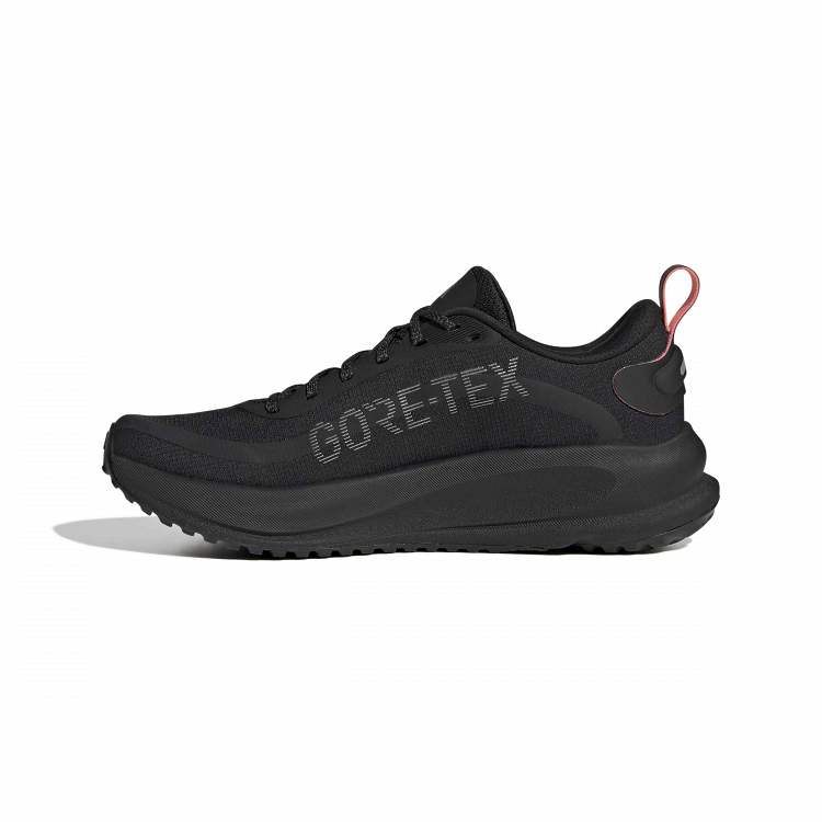 SUPERNOVA EASE 2 GTX RUNNING SHOES