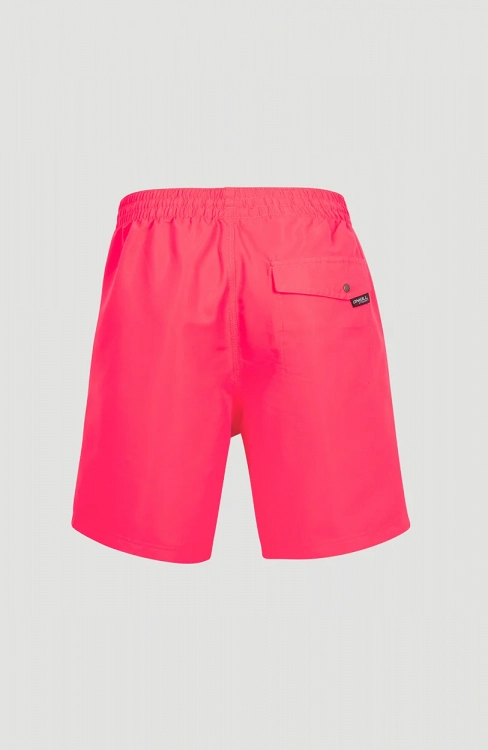 PM VERT SHORTS