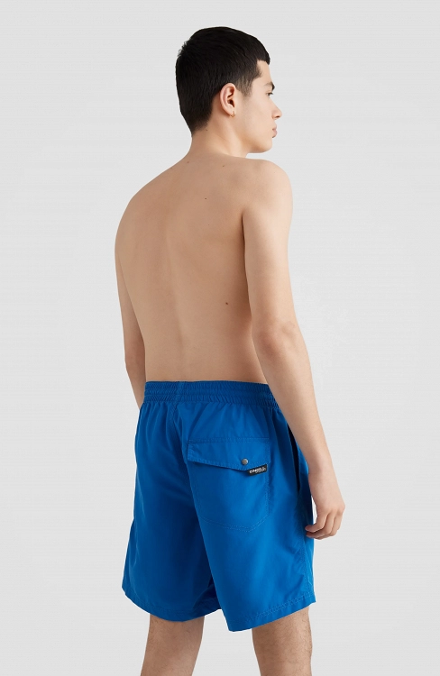 PM VERT SHORTS
