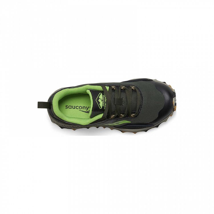 Peregrine 12 Shield