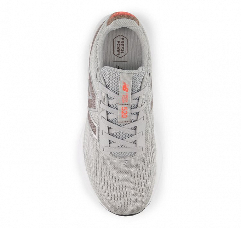 Fresh Foam 520v9