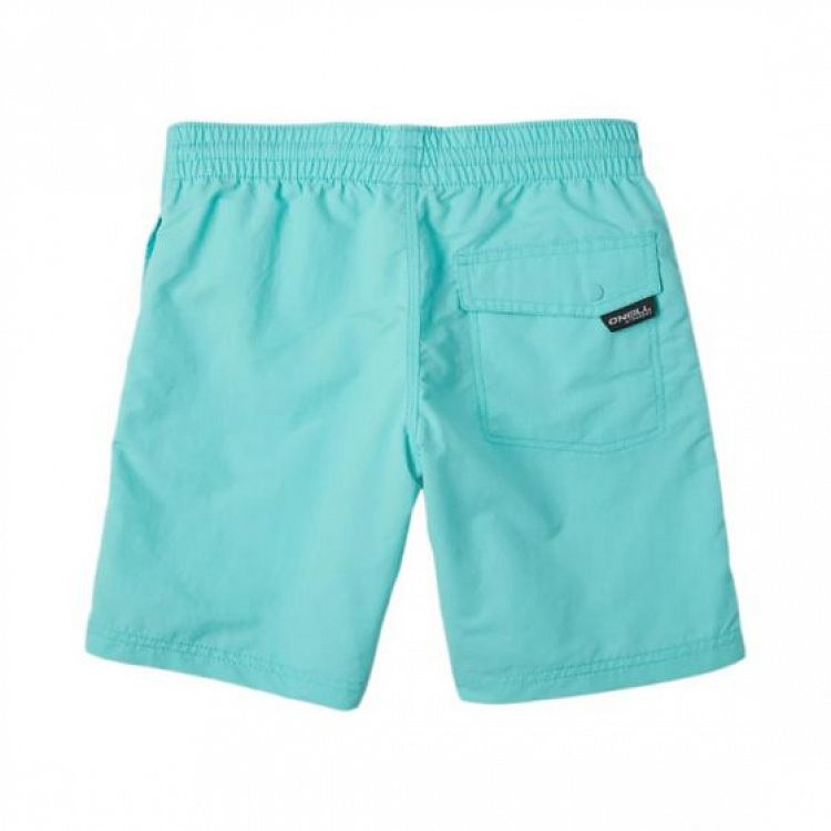 VERT SHORTS