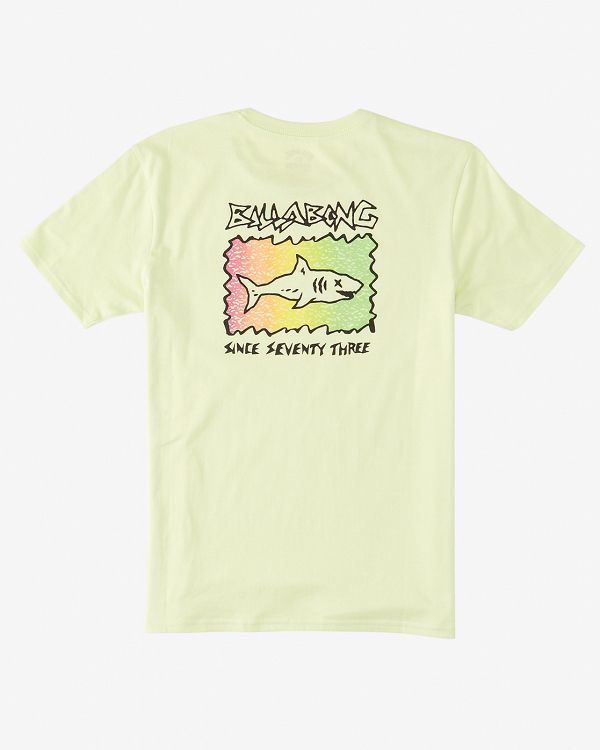 SHARKY SS