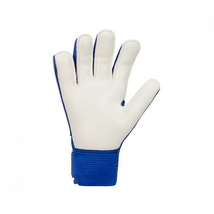 Nike Jr. Goalkeeper Match