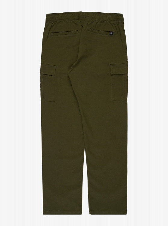 TAXER REGULAR CARGO PANT